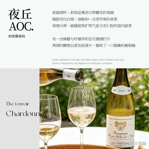 白葡萄酒哪個(gè)品牌口感好?